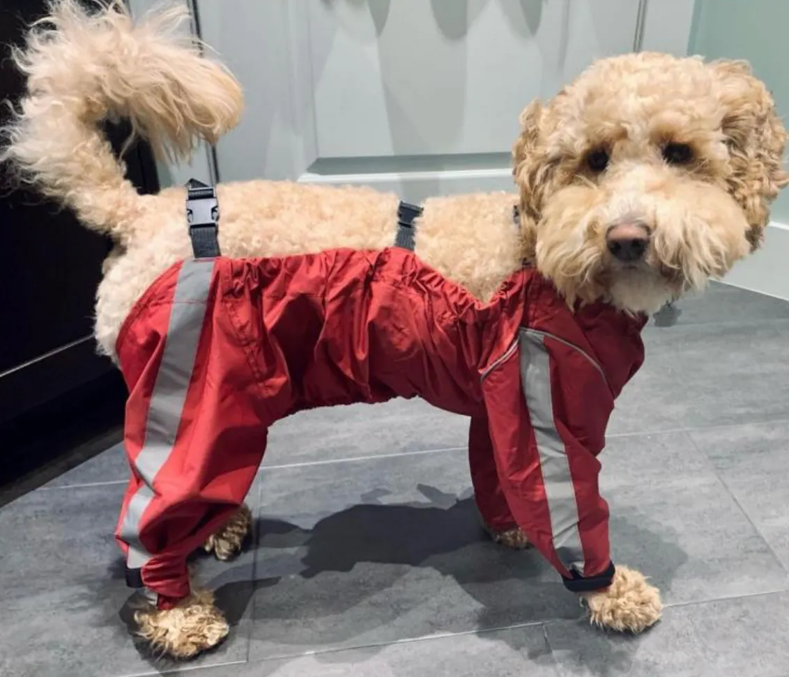 Bodyguard - Protective All-Weather Dog Pants