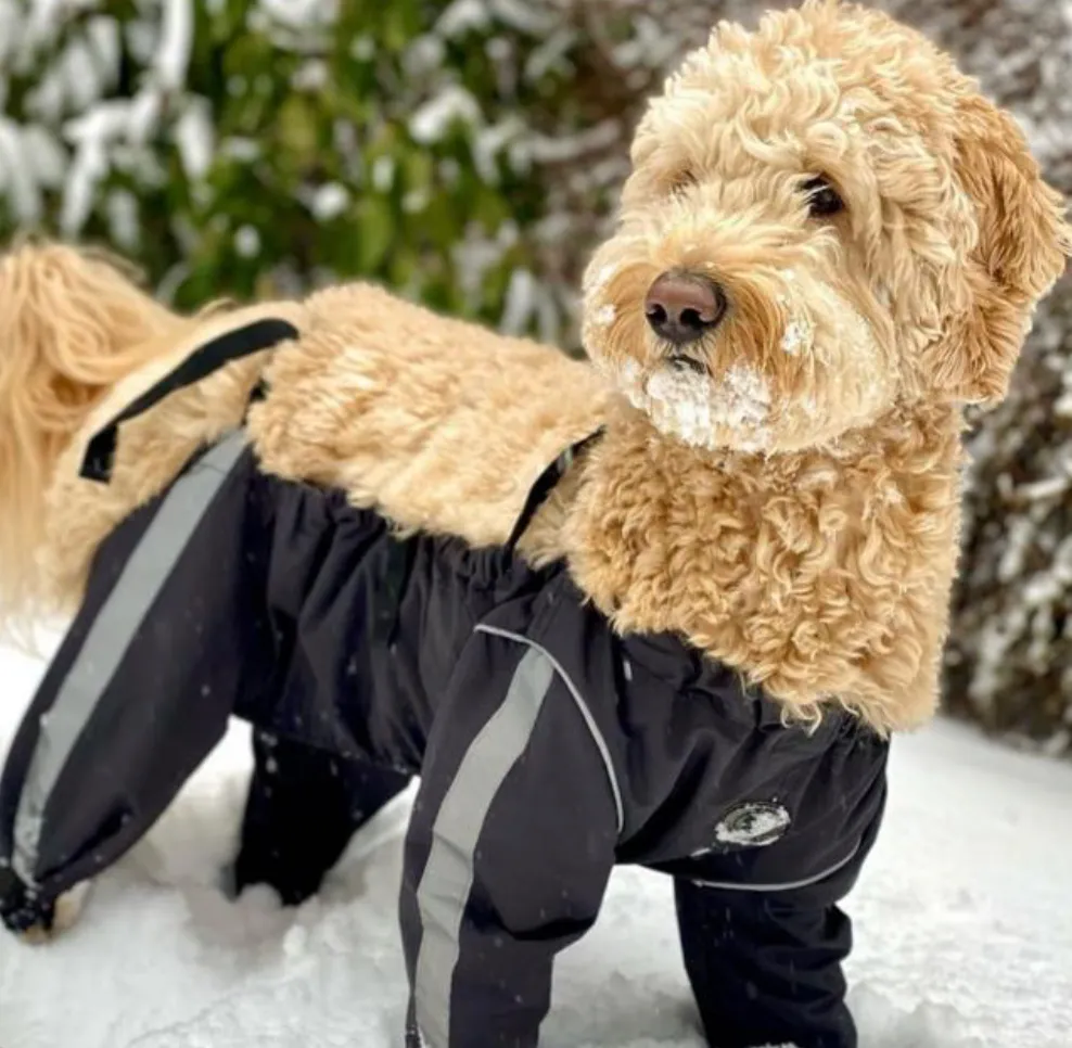 Bodyguard - Protective All-Weather Dog Pants