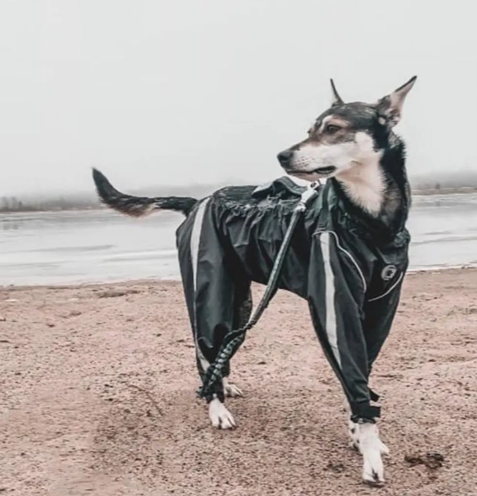 Bodyguard - Protective All-Weather Dog Pants