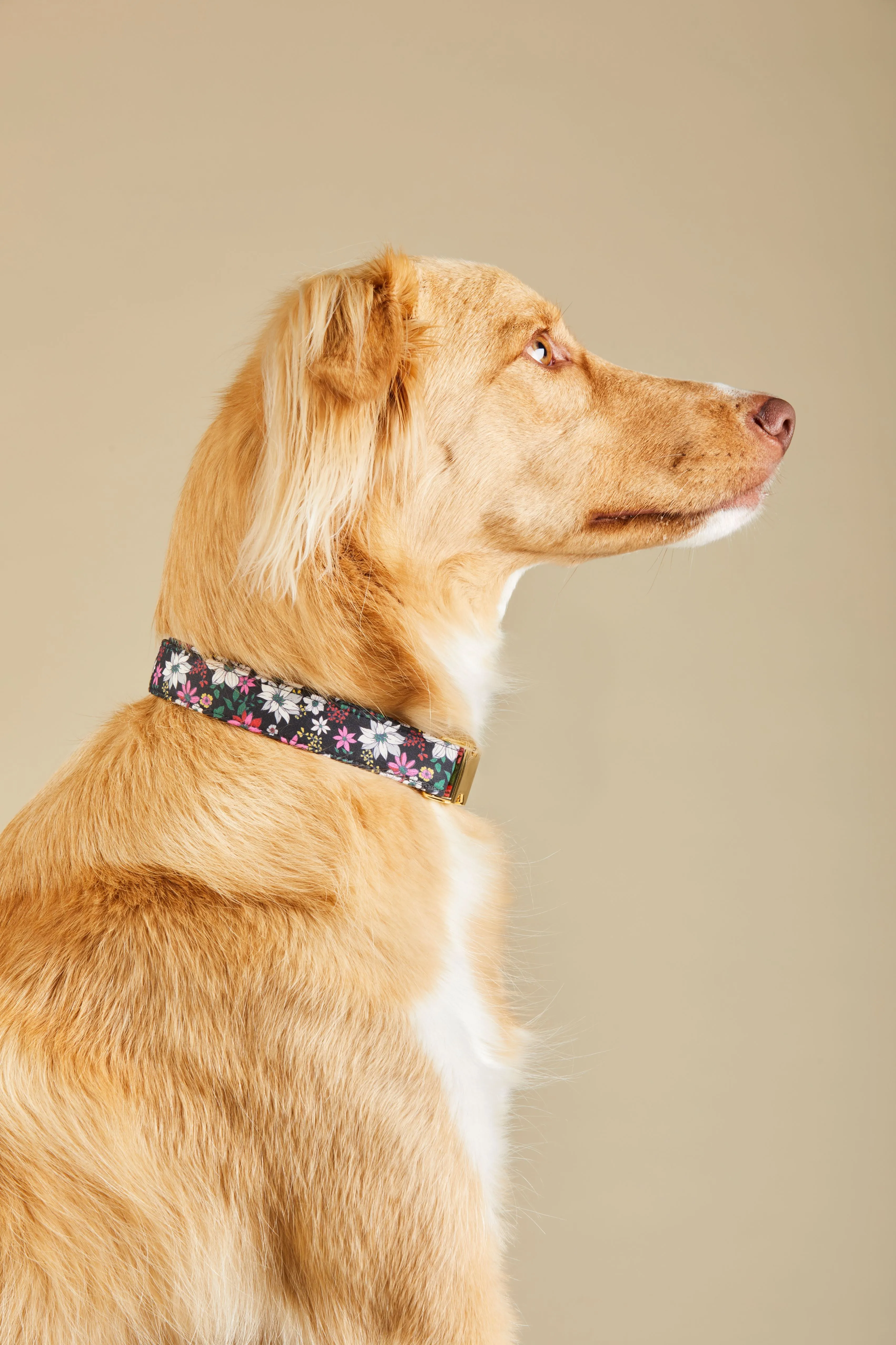DJ x TFD Collar in Evening Floral