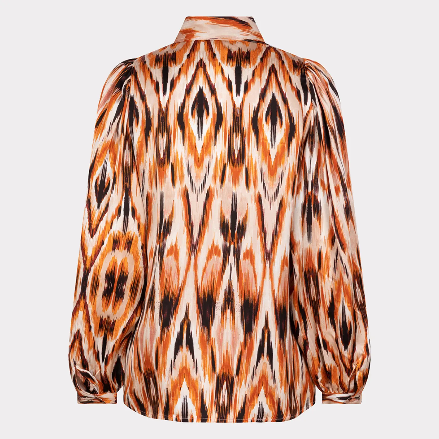 Ethnic Skins Long Sleeve Blouse