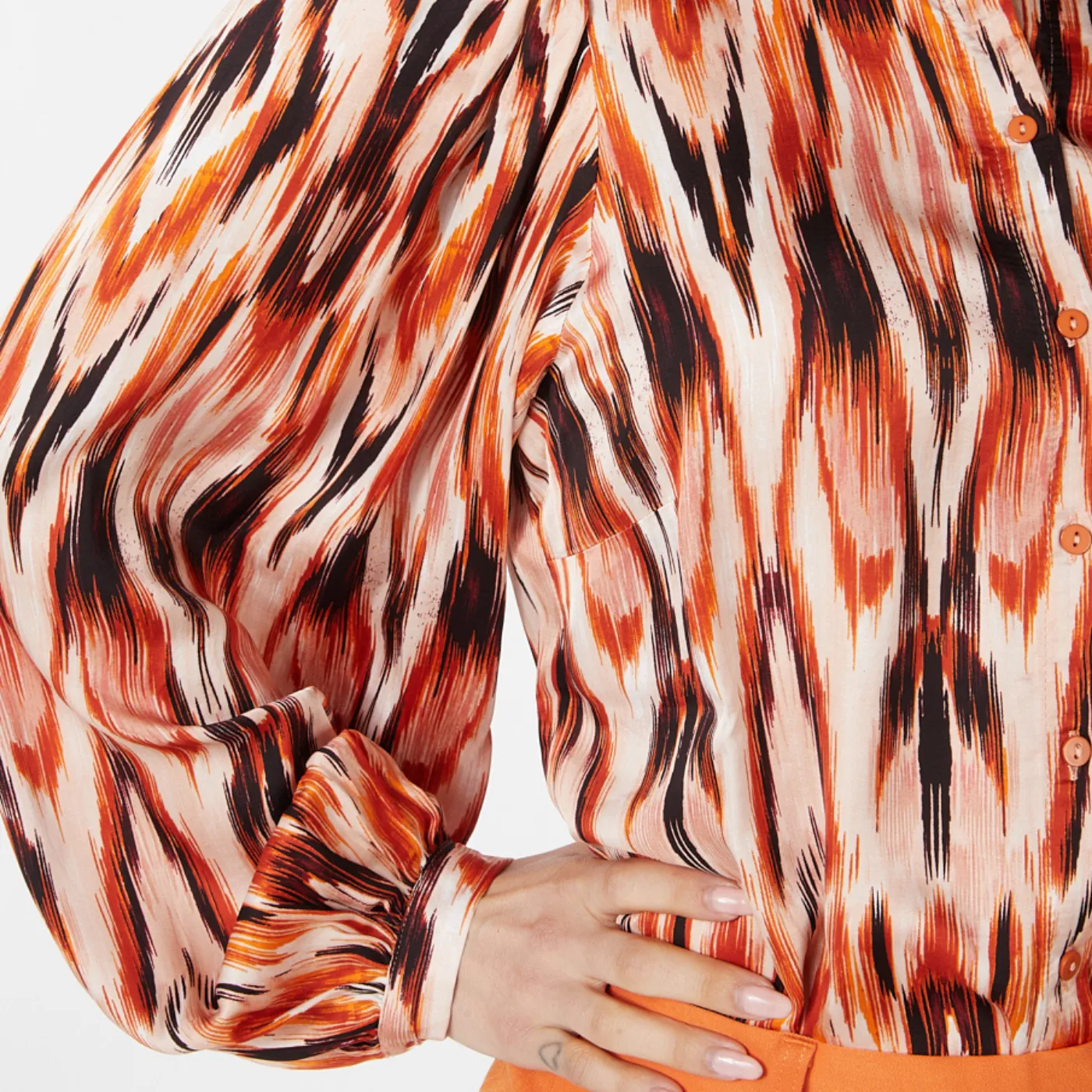 Ethnic Skins Long Sleeve Blouse