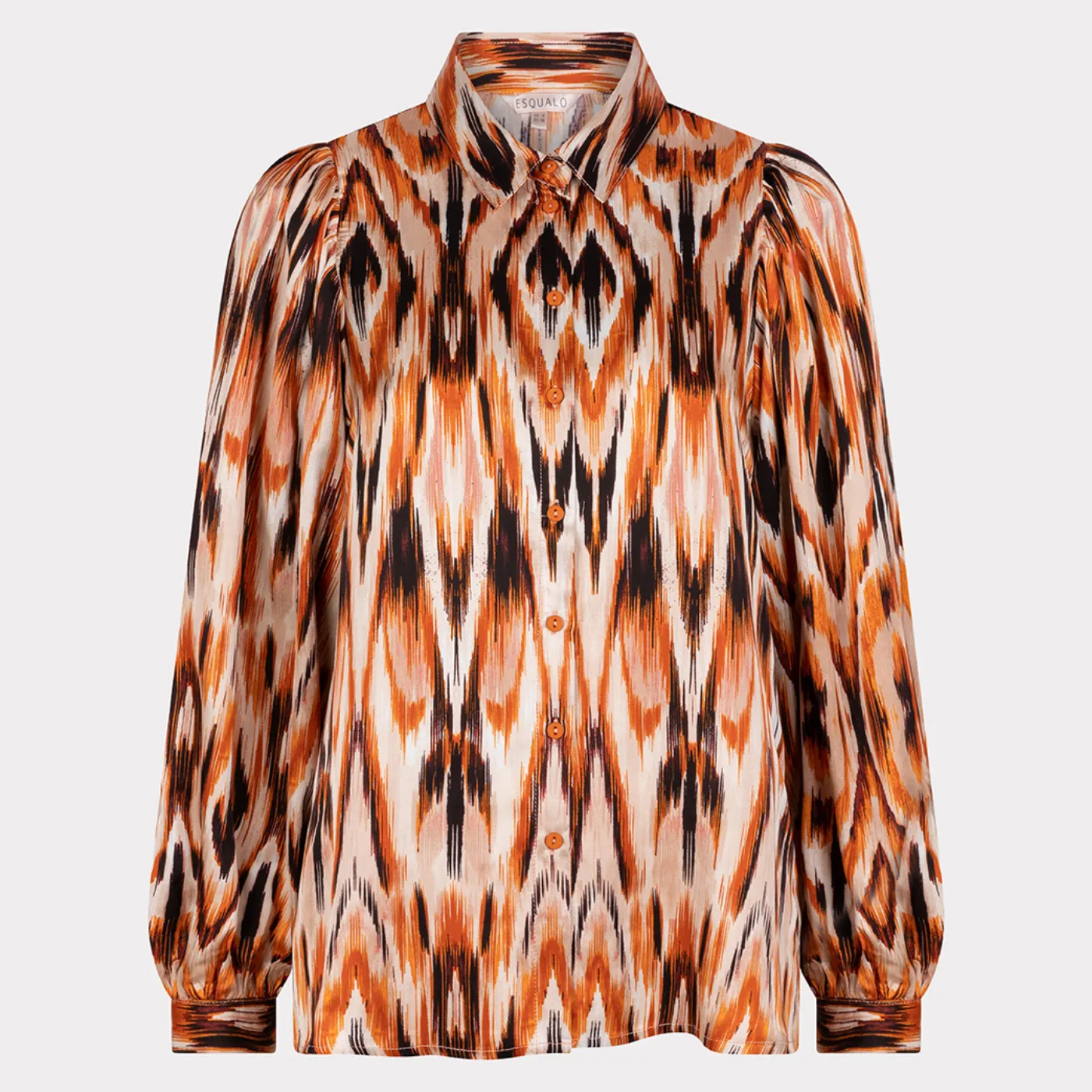 Ethnic Skins Long Sleeve Blouse